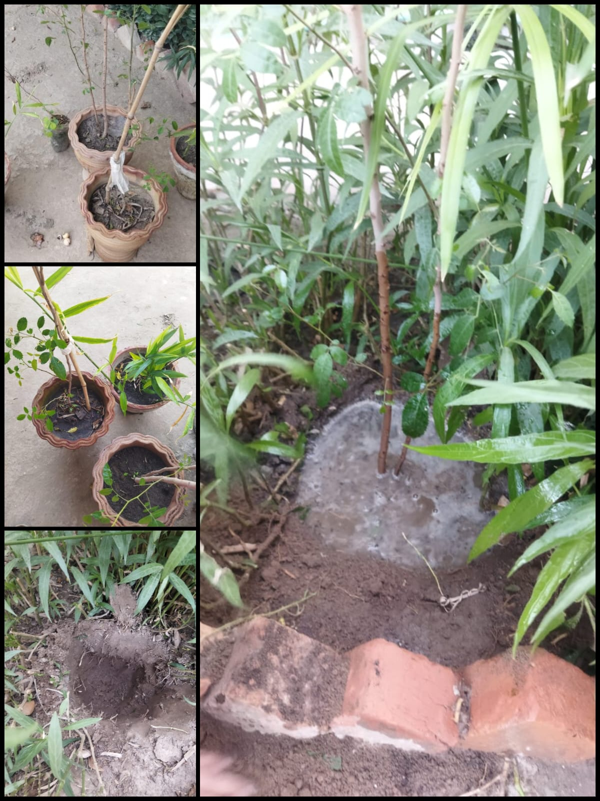 Growing Change from Home